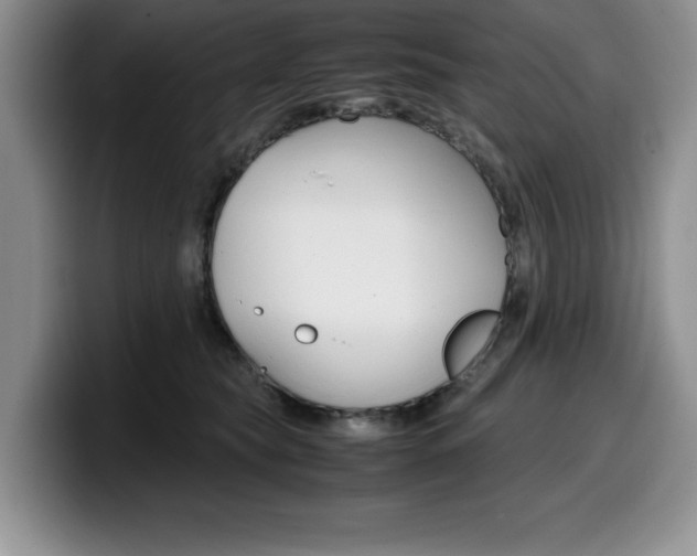 X0000100230565200805300727