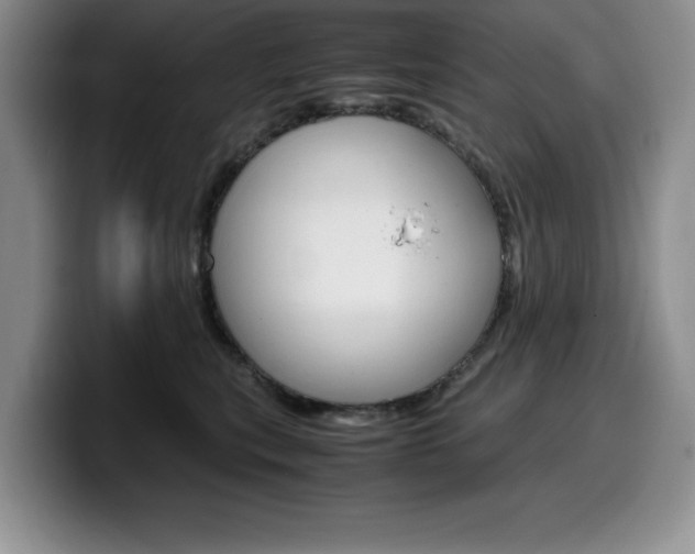 X0000100230567200805300727