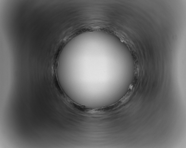 X0000100230568200805300727