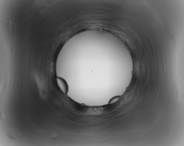 X0000100230571200805300727