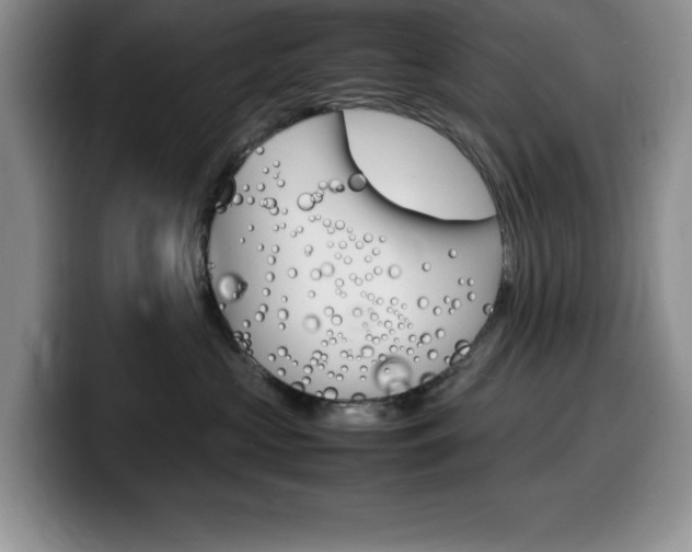 X0000100230573200805300727
