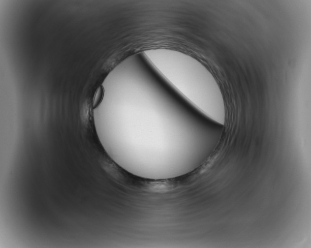X0000100230574200805300727