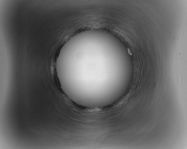 X0000100230576200805300727