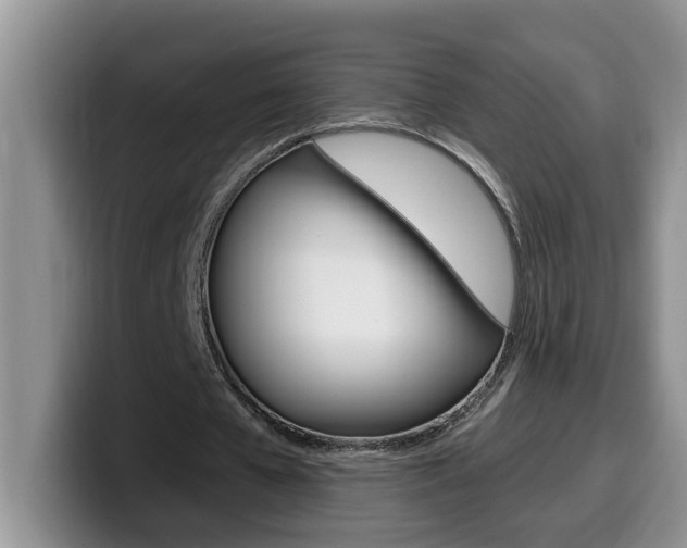 X0000100230577200805300726