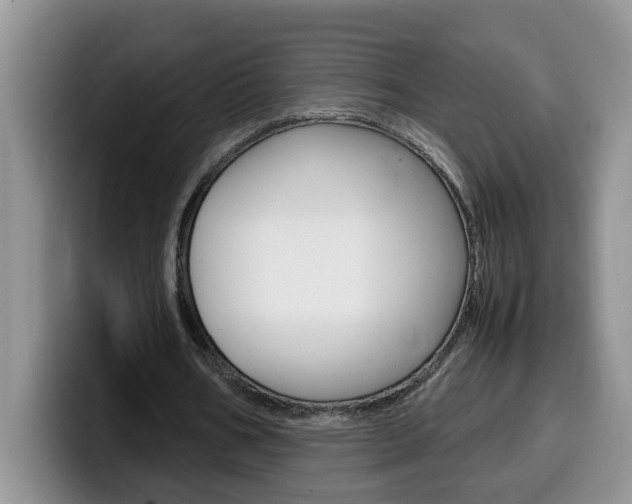 X0000100230578200805300726