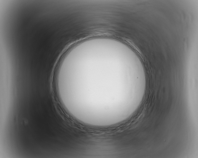 X0000100230579200805300726
