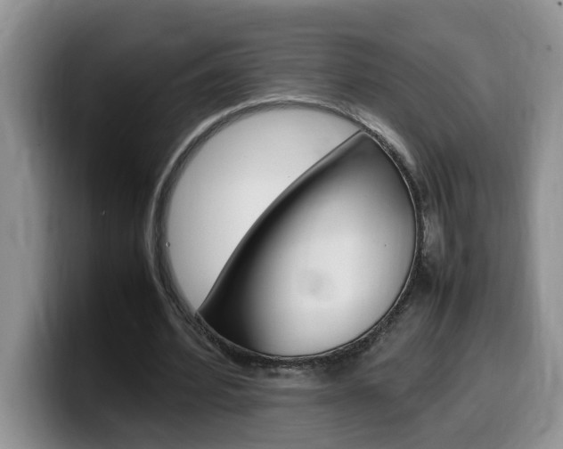 X0000100230580200805300726