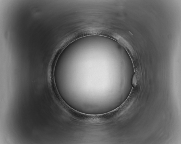 X0000100230581200805300726