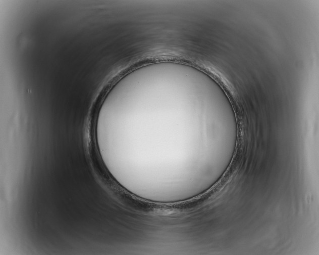 X0000100230582200805300726