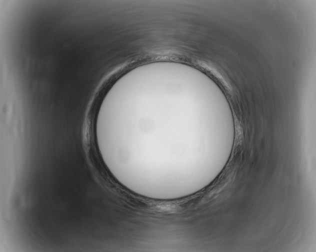 X0000100230583200805300726