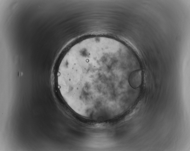 X0000100230584200805300726
