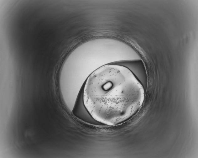 X0000100230585200805300726