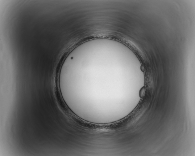 X0000100230586200805300726