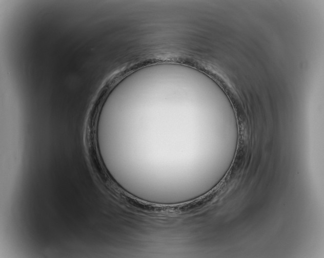 X0000100230587200805300726