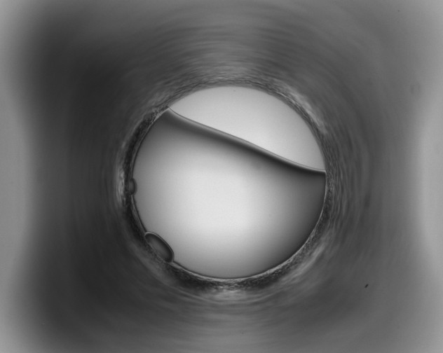 X0000100230589200805300726