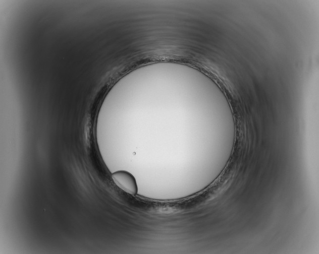 X0000100230590200805300726