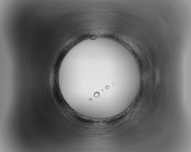 X0000100230591200805300726