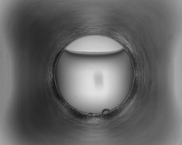 X0000100230593200805300726