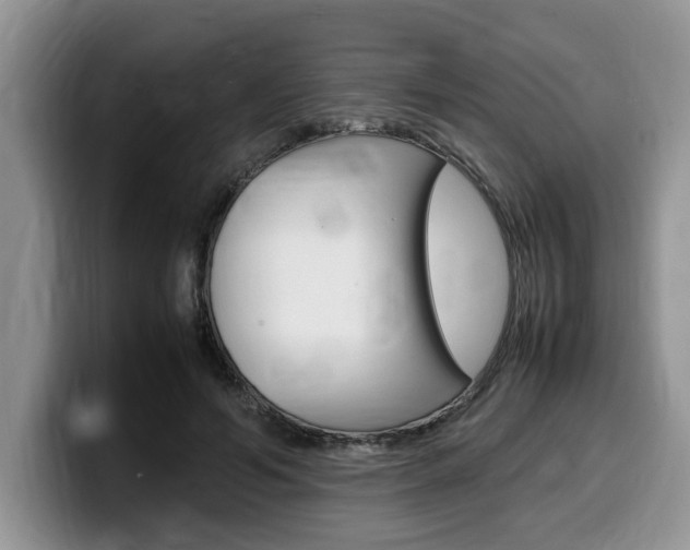 X0000100230594200805300726
