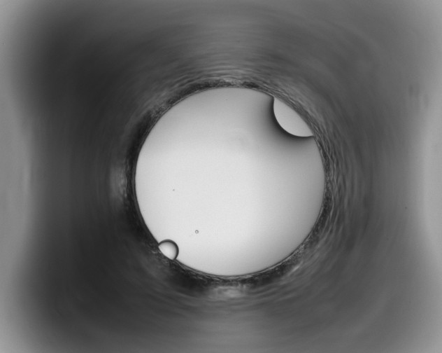 X0000100230595200805300726