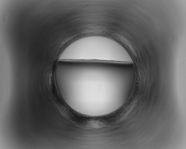 X0000100230596200805300726