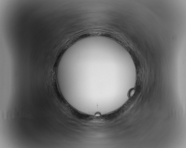 X0000100230601200805300726