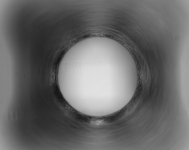 X0000100230602200805300726