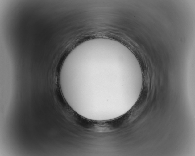 X0000100230603200805300726