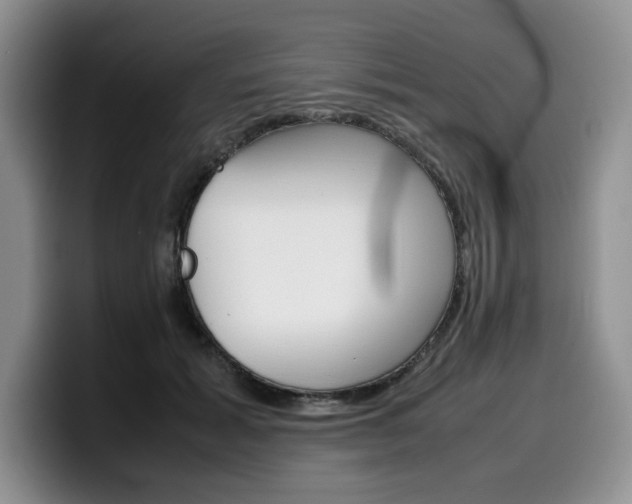 X0000100230605200805300726