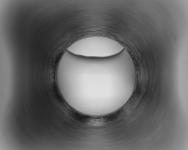 X0000100230606200805300726