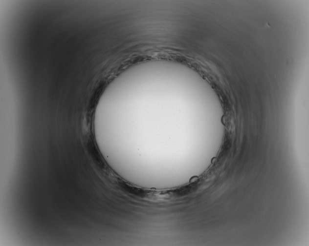 X0000100230607200805300726
