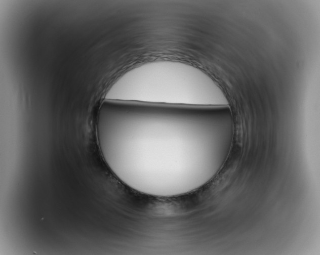X0000100230608200805300726