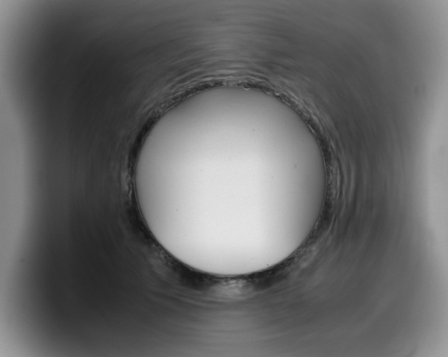 X0000100230609200805300726