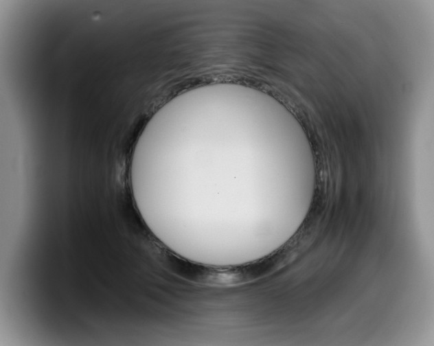 X0000100230610200805300726