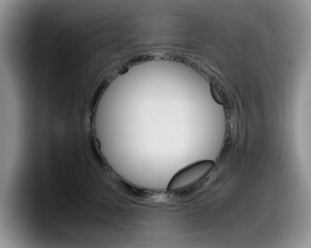 X0000100230611200805300726