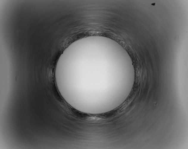 X0000100230614200805300726