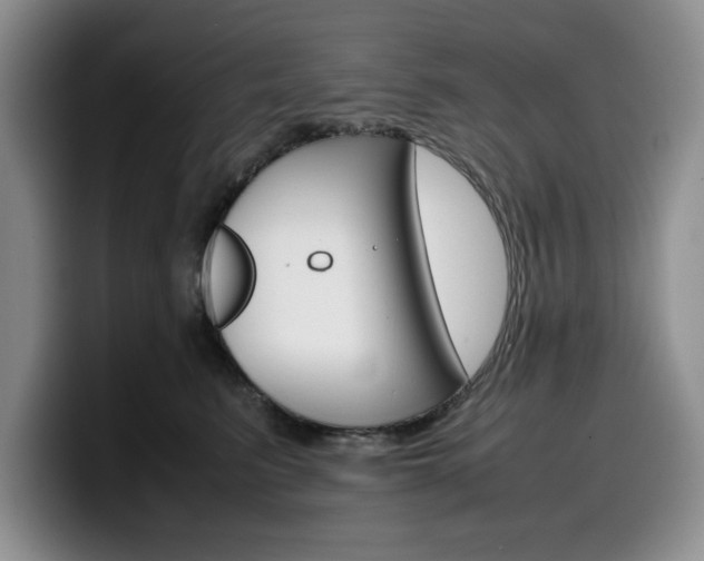 X0000100230615200805300726