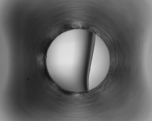 X0000100230616200805300726