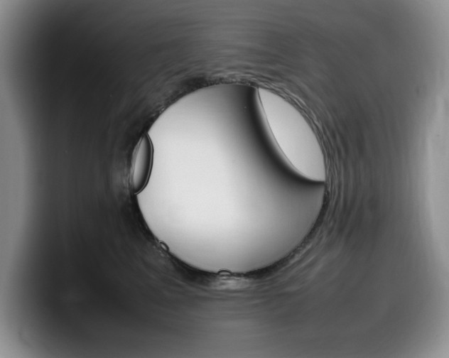 X0000100230617200805300726
