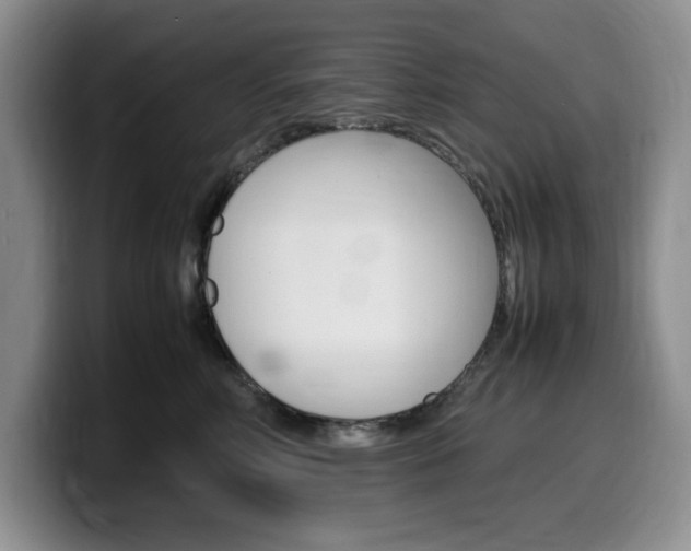 X0000100230618200805300726