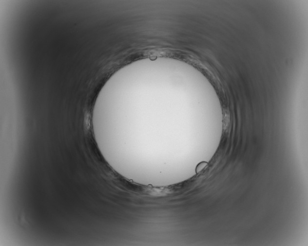 X0000100230621200805300726