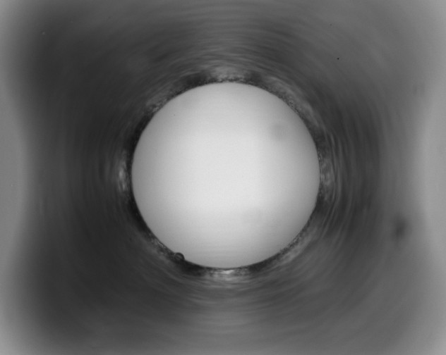 X0000100230622200805300726