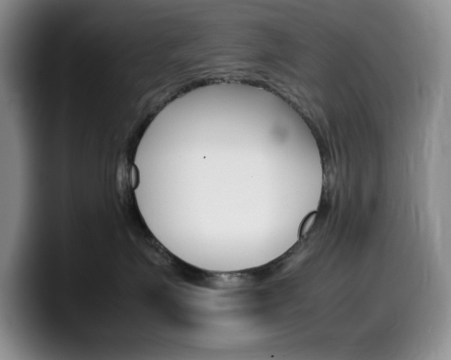 X0000100230623200805300726