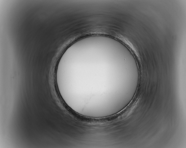 X0000100230625200805300725
