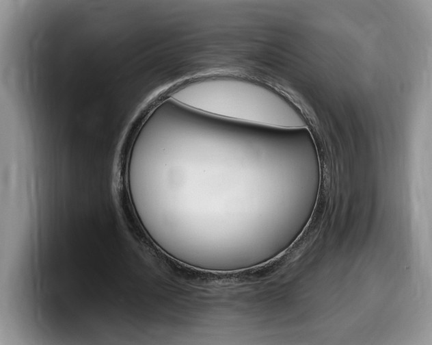 X0000100230628200805300725