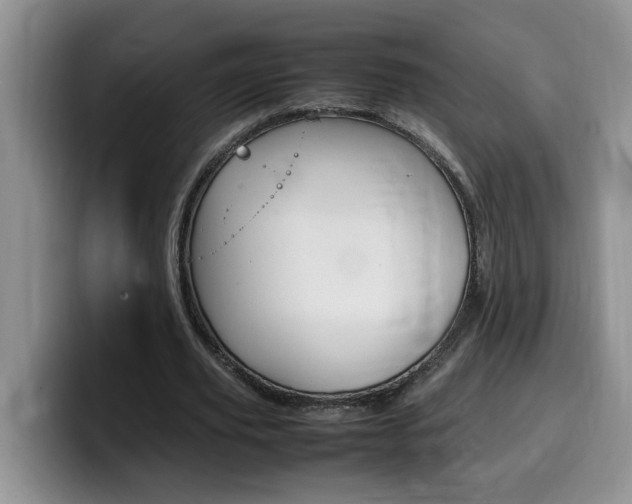 X0000100230629200805300725