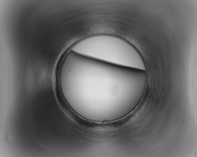 X0000100230630200805300725