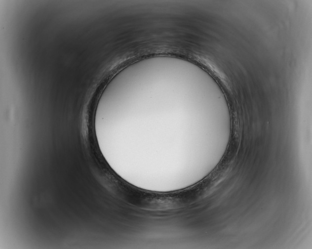 X0000100230631200805300725