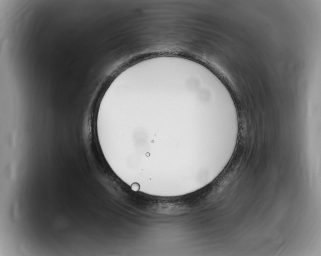 X0000100230632200805300725