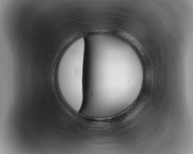 X0000100230633200805300725